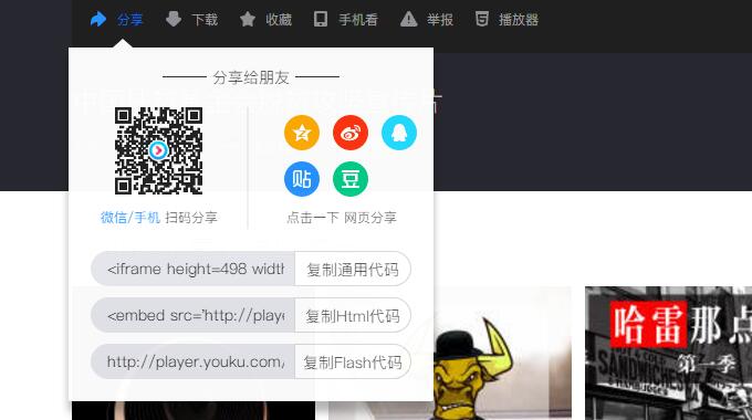 wordpress插入视频网站视频自适应方案！